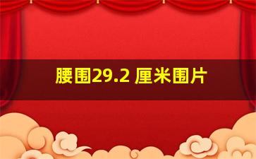 腰围29.2 厘米围片